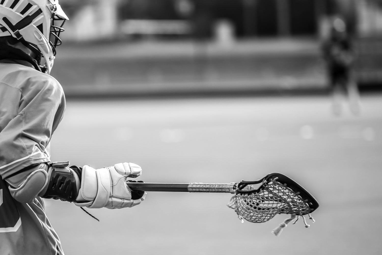 Lacrosse Collection